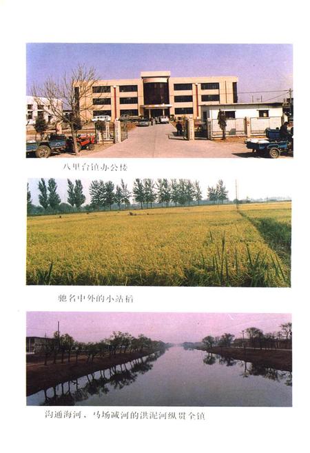 《八里台镇志》.pdf电子版_天津市志插图5