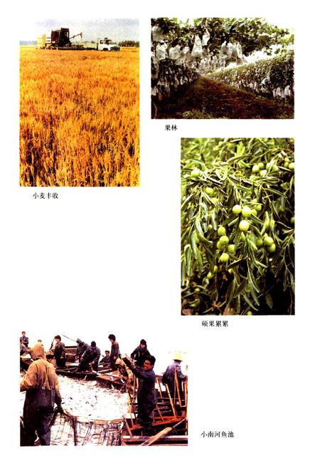 《南河镇志》.pdf电子版_天津市志插图5 《南河镇志》.pdf电子版_天津市志插图5