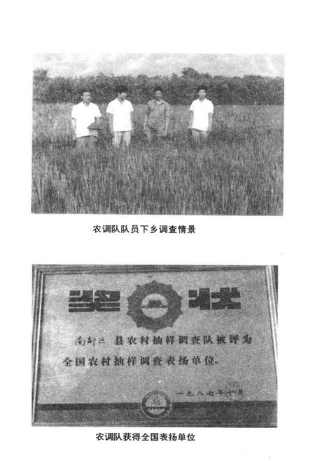 《津南区统计志》.pdf电子版_天津市志插图3 《津南区统计志》.pdf电子版_天津市志插图3