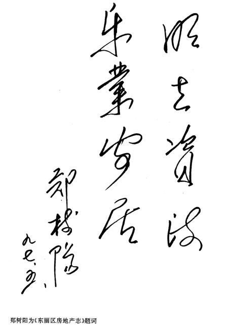 《东丽区房地产志》.pdf电子版_天津市志插图2 《东丽区房地产志》.pdf电子版_天津市志插图2