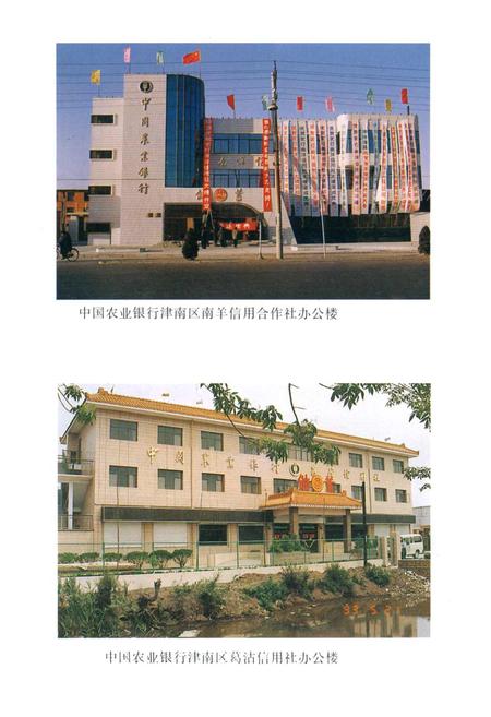 《津南区农业银行志》.pdf电子版_天津市志插图4 《津南区农业银行志》.pdf电子版_天津市志插图4