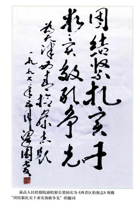 《西青区检察志》.pdf电子版_天津市志插图1