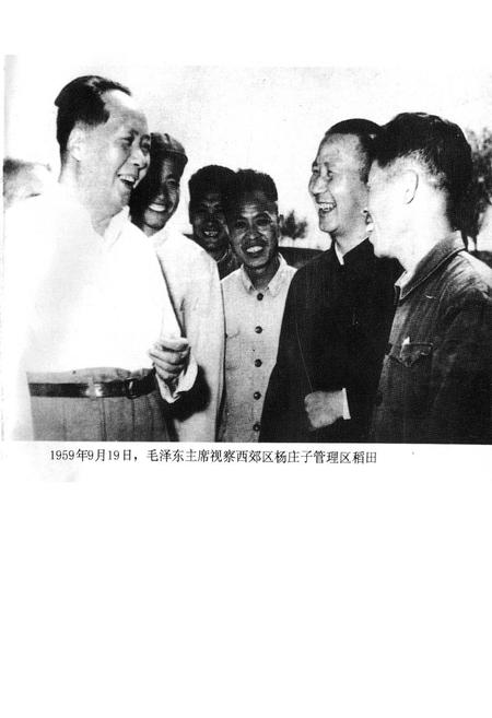 《西青区政府志》.pdf电子版_天津市志插图1