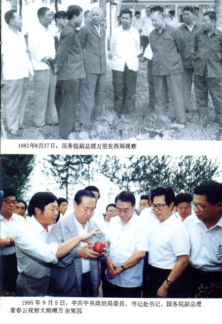 《西青区政府志》.pdf电子版_天津市志插图3