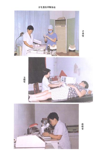 《东丽区计划生育志》.pdf电子版_天津市志插图5