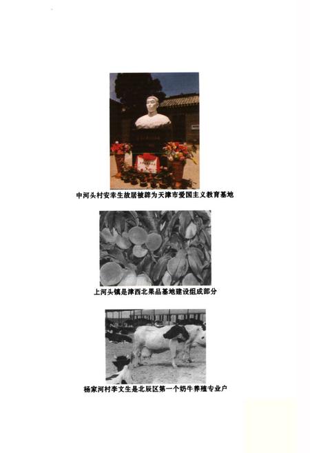 《上河头镇志》.pdf电子版_天津市志插图4