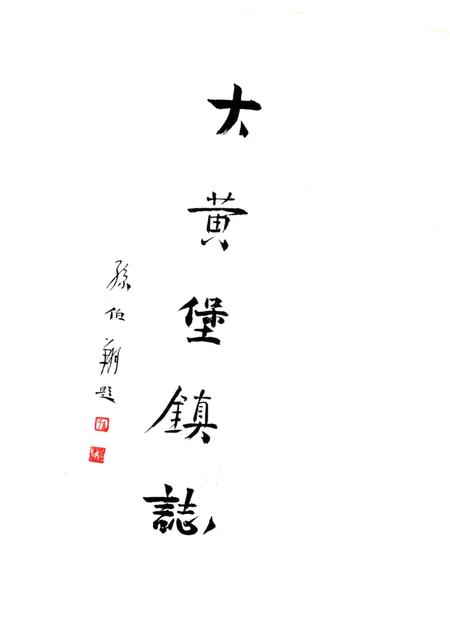 《大黄堡镇志》.pdf电子版_天津市志插图1
