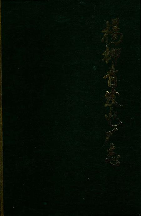 《杨柳青发电厂志》.pdf电子版_天津市志插图