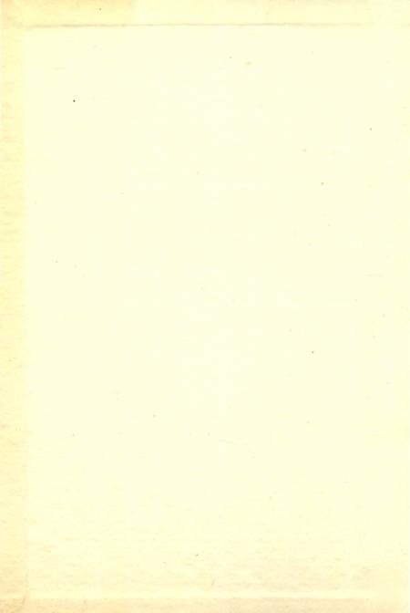 《杨柳青发电厂志》.pdf电子版_天津市志插图1