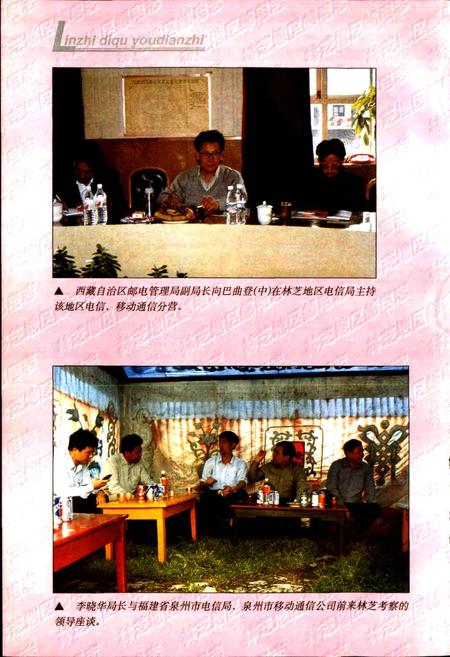 《林芝地区邮电志》.pdf电子版_西藏自治区志插图4