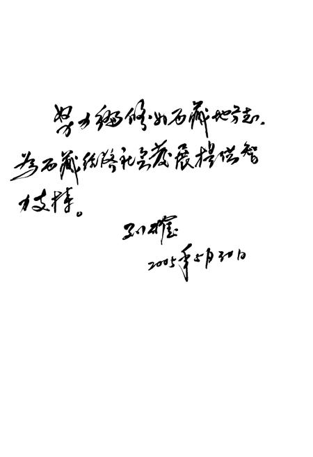 《西藏自治区志审计志》.pdf电子版_西藏自治区志插图3
