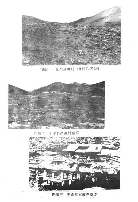 《《亚东康马岗巴定结县文物志》》.pdf电子版_西藏自治区志插图2
