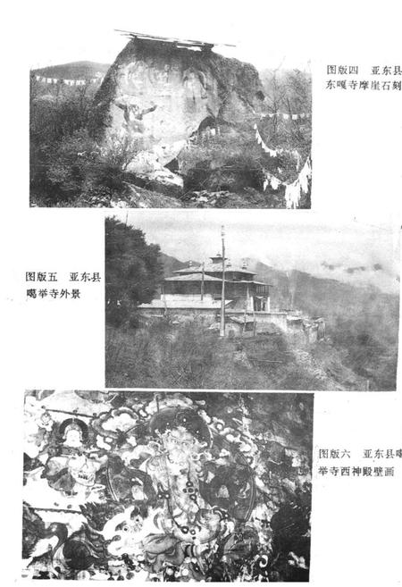 《《亚东康马岗巴定结县文物志》》.pdf电子版_西藏自治区志插图3