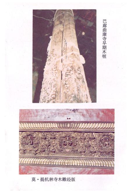 《《桑日县文物志》》.pdf电子版_西藏自治区志插图4