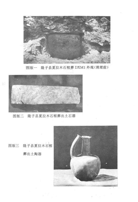 《《错那隆子加查曲松县文物志》》.pdf电子版_西藏自治区志插图2