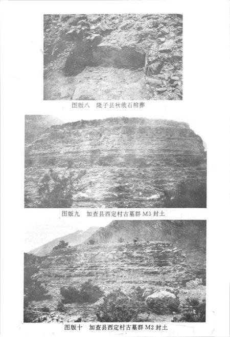 《《错那隆子加查曲松县文物志》》.pdf电子版_西藏自治区志插图4