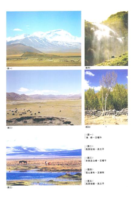 《西藏日喀则地区旅游发展总体规划志》.pdf电子版_西藏自治区志插图4