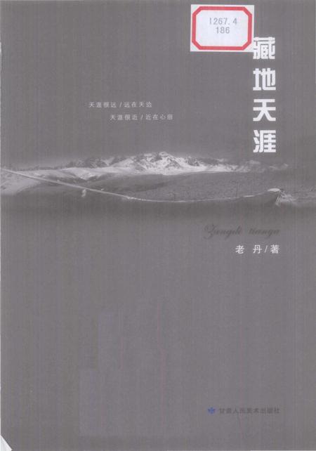 《藏地天涯》.pdf电子版_西藏自治区志插图1