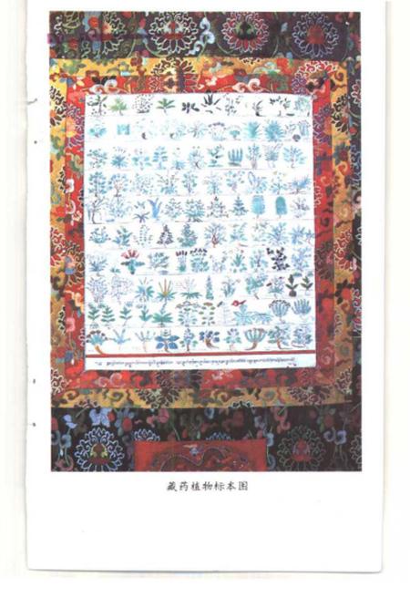 《中国的藏医》.pdf电子版_西藏自治区志插图3