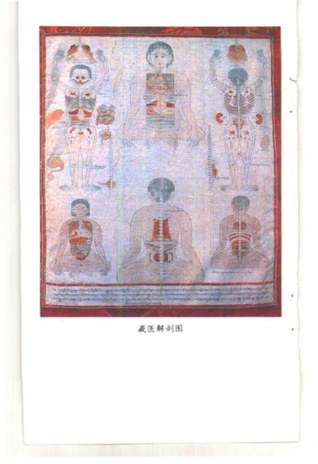 《中国的藏医》.pdf电子版_西藏自治区志插图4