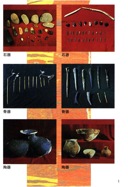 《西藏科学技术史》.pdf电子版_西藏自治区志插图3