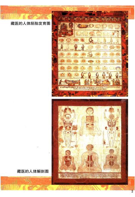 《西藏科学技术史》.pdf电子版_西藏自治区志插图5