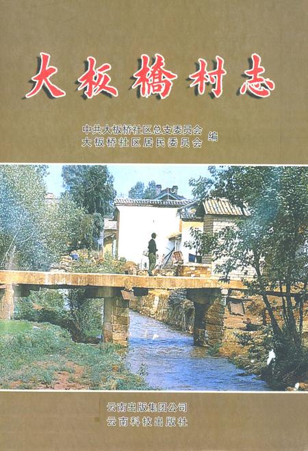 《《大板桥村志》》.pdf电子版_云南省志插图