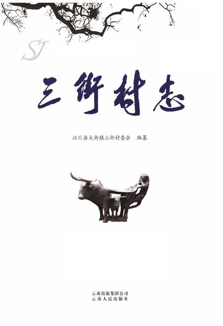 《《三街村志》》.pdf电子版_云南省志插图1