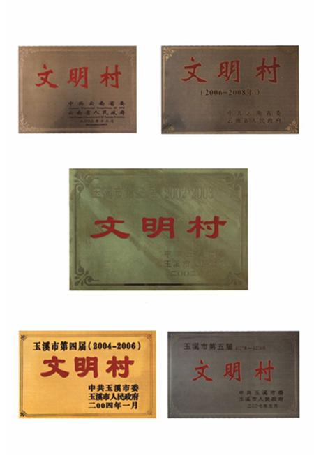 《《三街村志》》.pdf电子版_云南省志插图5