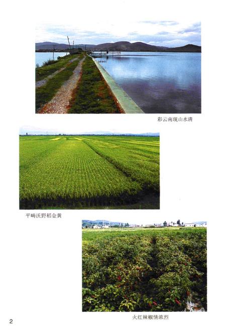 《大波那村志》.pdf电子版_云南省志插图5