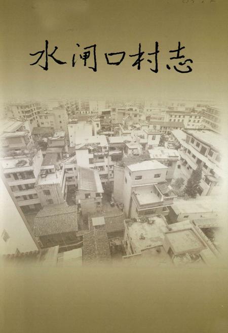 《水闸口村志》.pdf电子版_云南省志插图1
