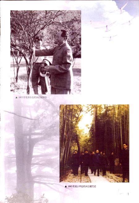 《浙江省林业志》.pdf电子版_浙江省志插图3 《浙江省林业志》.pdf电子版_浙江省志插图3