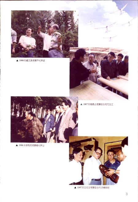 《浙江省林业志》.pdf电子版_浙江省志插图5 《浙江省林业志》.pdf电子版_浙江省志插图5