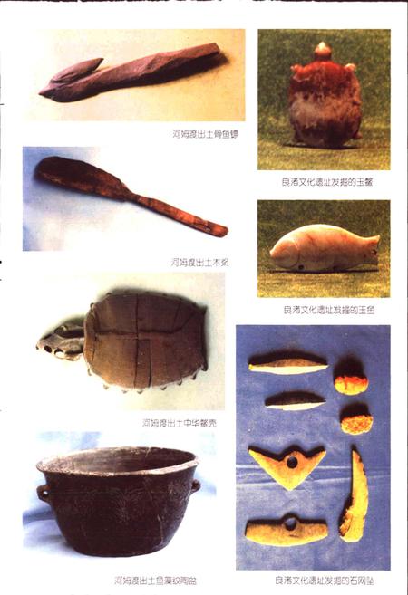 《浙江省水产志》.pdf电子版_浙江省志插图5