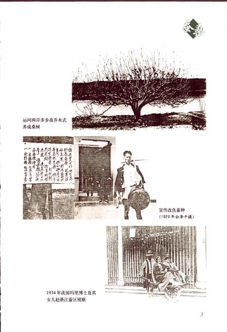 《浙江省蚕桑志》.pdf电子版_浙江省志插图5