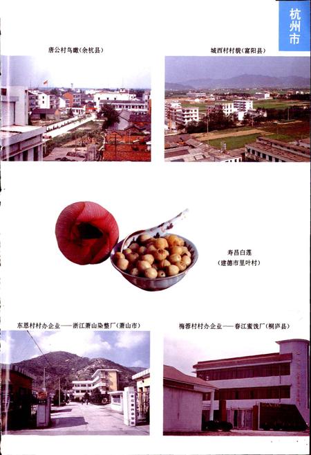 《浙江省名村志（上）》.pdf电子版_浙江省志插图5
