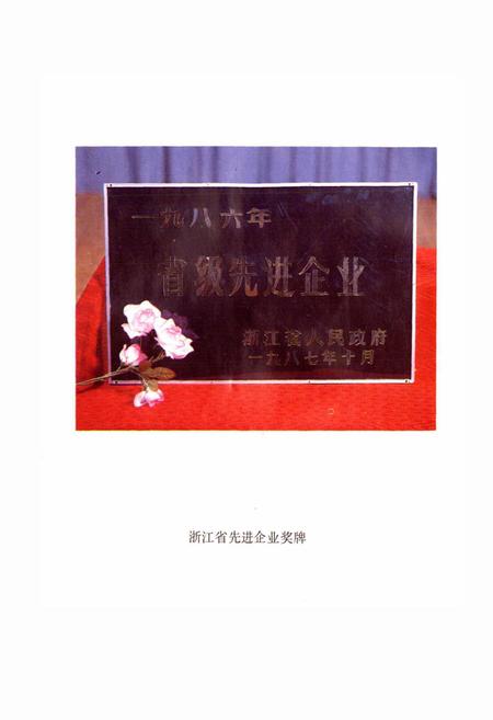 《杭州制笔总厂志》.pdf电子版_浙江省志插图3