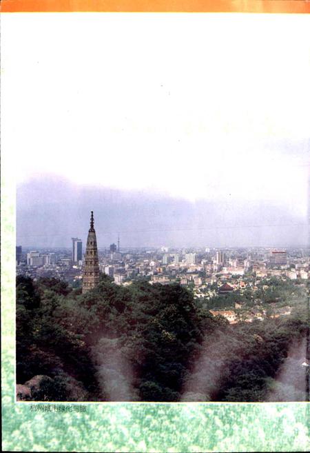 《杭州市城市绿化志》.pdf电子版_浙江省志插图4 《杭州市城市绿化志》.pdf电子版_浙江省志插图4