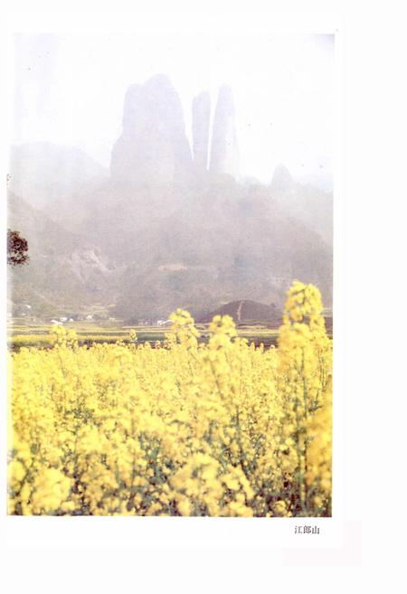 《江山市志》.pdf电子版_浙江省志插图4 《江山市志》.pdf电子版_浙江省志插图4