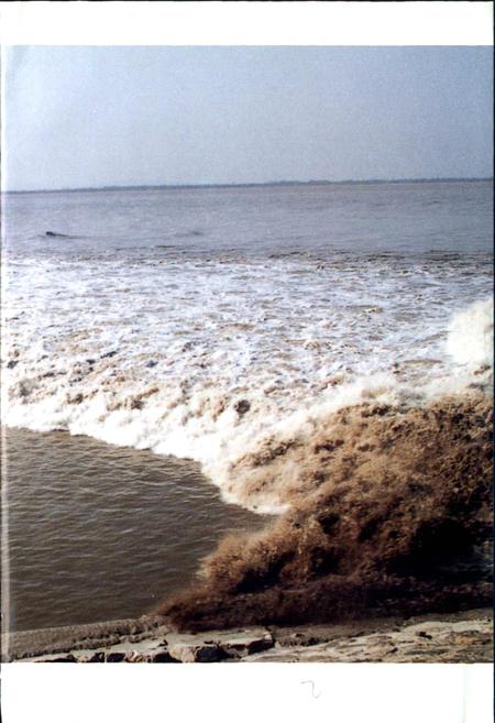 《萧山围垦志》.pdf电子版_浙江省志插图4 《萧山围垦志》.pdf电子版_浙江省志插图4