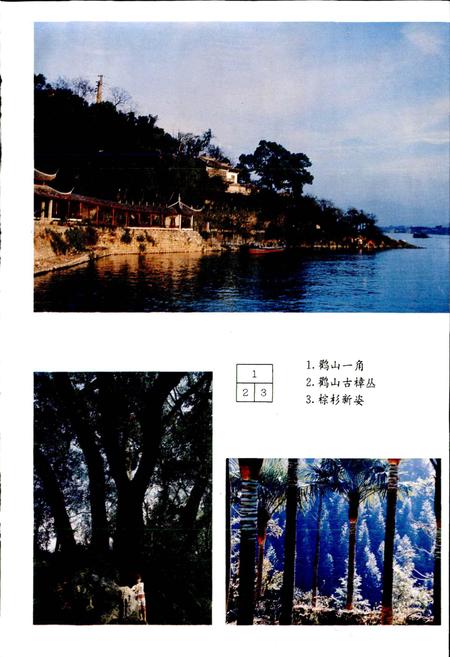 《富阳县林业志》.pdf电子版_浙江省志插图3 《富阳县林业志》.pdf电子版_浙江省志插图3