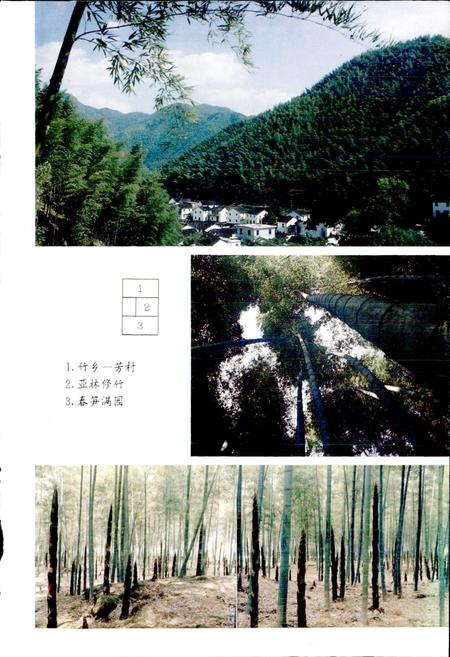 《富阳县林业志》.pdf电子版_浙江省志插图5 《富阳县林业志》.pdf电子版_浙江省志插图5