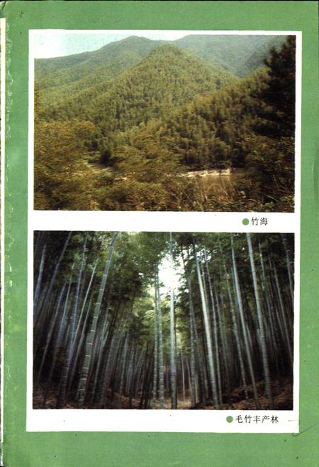 《湖州市林业志》.pdf电子版_浙江省志插图3 《湖州市林业志》.pdf电子版_浙江省志插图3