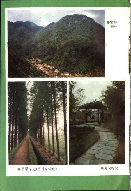 《湖州市林业志》.pdf电子版_浙江省志插图4 《湖州市林业志》.pdf电子版_浙江省志插图4