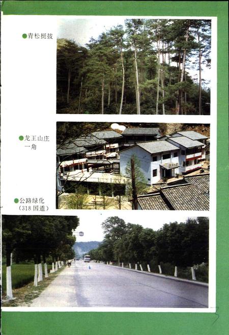 《湖州市林业志》.pdf电子版_浙江省志插图5 《湖州市林业志》.pdf电子版_浙江省志插图5