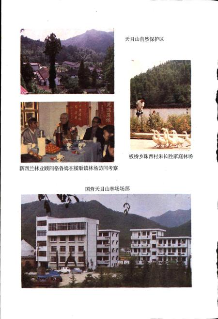 《临安林业志》.pdf电子版_浙江省志插图4 《临安林业志》.pdf电子版_浙江省志插图4