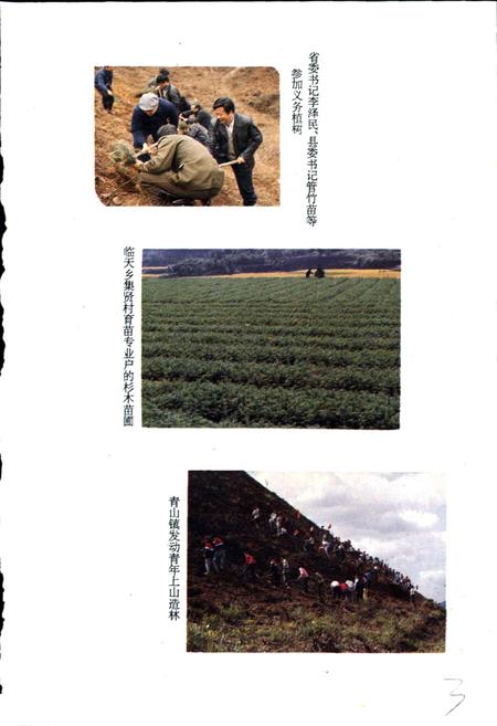 《临安林业志》.pdf电子版_浙江省志插图5 《临安林业志》.pdf电子版_浙江省志插图5