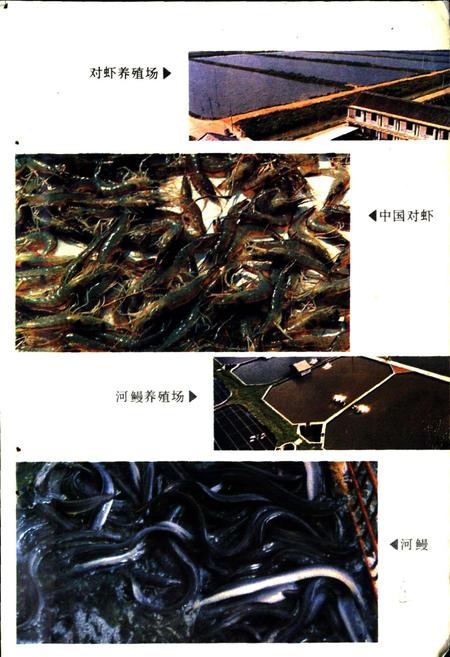 《嘉兴市水产志》.pdf电子版_浙江省志插图4