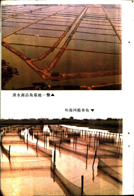 《嘉兴市水产志》.pdf电子版_浙江省志插图5