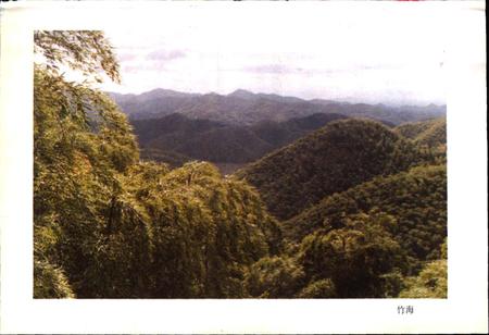 《安吉林业志》.pdf电子版_浙江省志插图2 《安吉林业志》.pdf电子版_浙江省志插图2